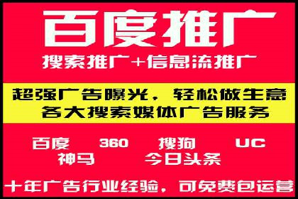 案例研究：竞价广告助力电商行业增长